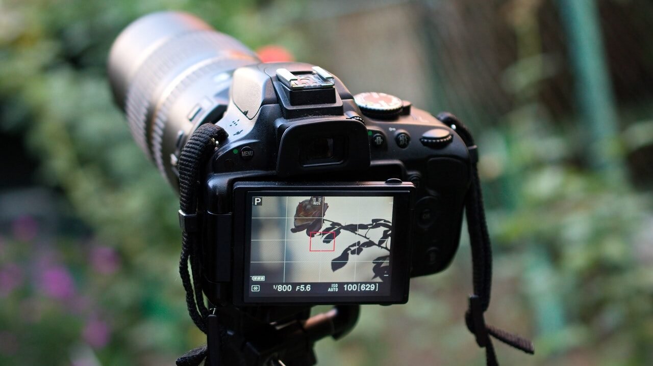 Câmera DSLR, mirrorless ou compacta? Saiba as diferenças entre câmeras digitais